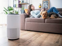 Purificadores de aire para el hogar